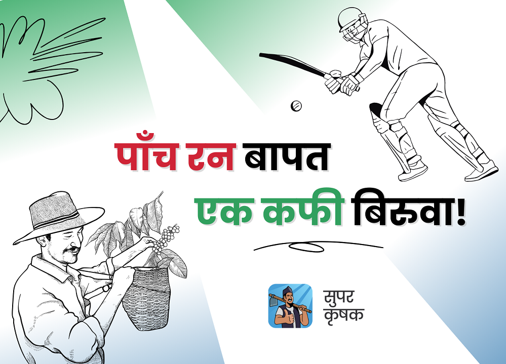 टी–२० विश्वकपमा नेपाली खेलाडीको प्रत्यक पाँच रनमा सुपर कृषक एपद्वारा कफी बिरुवा वितरण