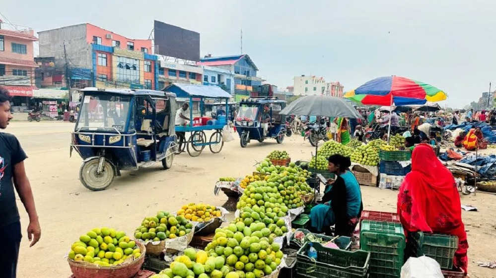 व्यवस्थित बजार नहुँदा सडकमै आँप किनबेच गर्न बाध्य सिरहाका व्यापारी र उपभोक्ताहरु