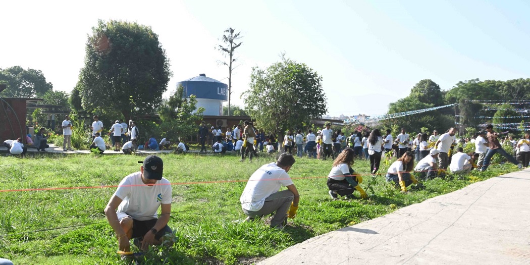 वातावरण दिवसको अवसरमा स्ट्यान्डर्ड चार्टर्ड बैंकले कीर्तिपुरमा रोप्यो ७०० भन्दा बढी विरुवा