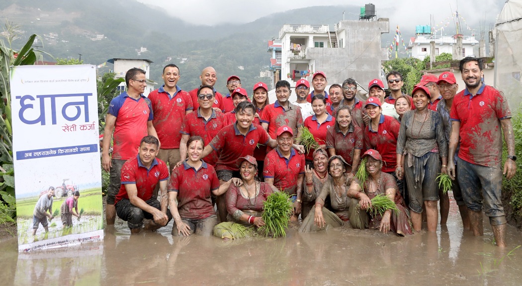 ग्लोबल आइएमई बैंकद्वारा राष्ट्रिय धान दिवसको अवसरमा “धान खेती कर्जा” सार्वजनिक तथा धान रोपाई कार्यक्रम आयोजना