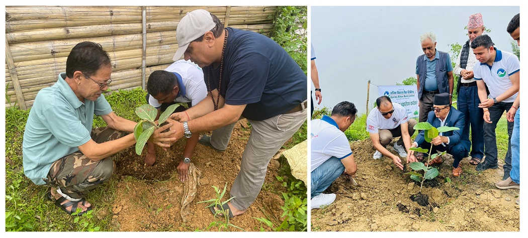 गरिमा विकास बैंकद्वारा हरिशयनी एकादशीको अवसरमा वृक्षारोपण
