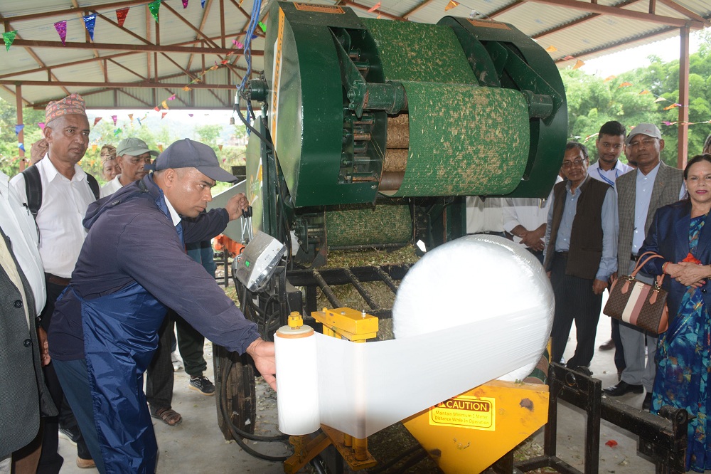 पशुवस्तुलाई पौष्टिक आहार खुवाउन साइलेज उद्योग स्थापना