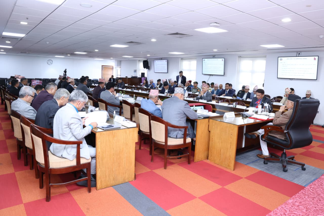 संविधान घोषणाको दसकलाई विशेष उत्सवका रुपमा मनाइने