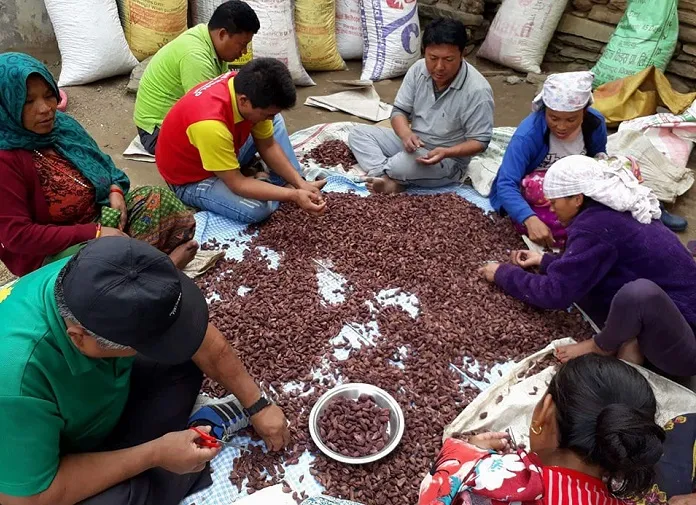 अलैँचीको भाउ सात वर्ष यताकै उच्च,   प्रतिमन ९४ हजार