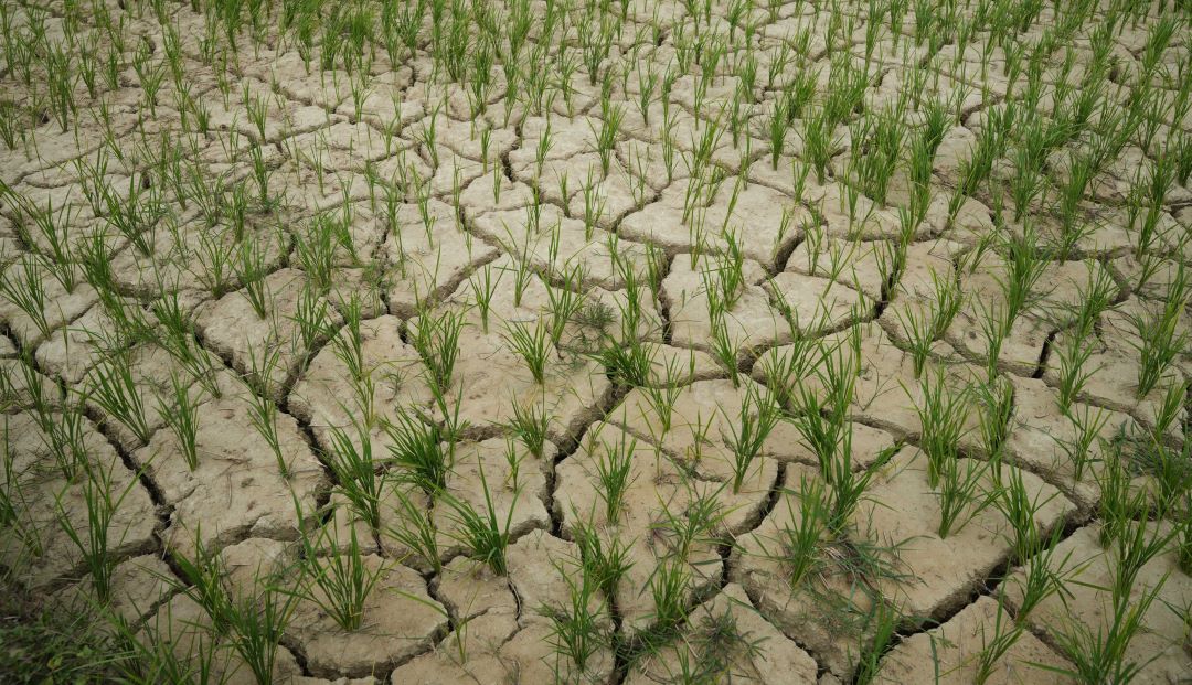 मधेशको जल संकट: कारण, चुनौती र दीर्घकालीन समाधानको बाटो