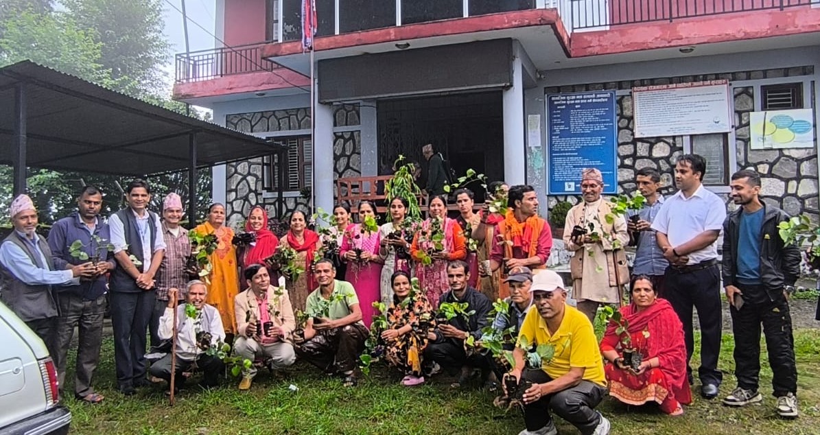मरिचखेती प्रवर्द्धन गर्दै पोखरा महानगर