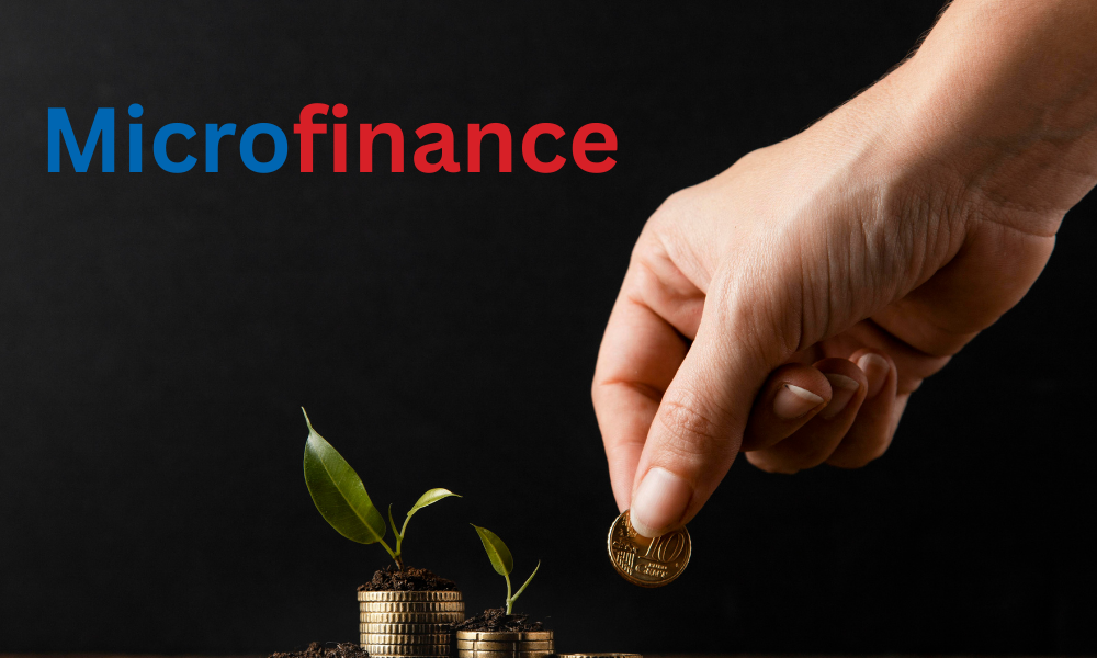 लघुवित्त संस्थाहरुको नाफामा भारी सुधार, प्रतिसेयर आम्दानी ५० रुपैयाँसम्म, कुनको कति ?