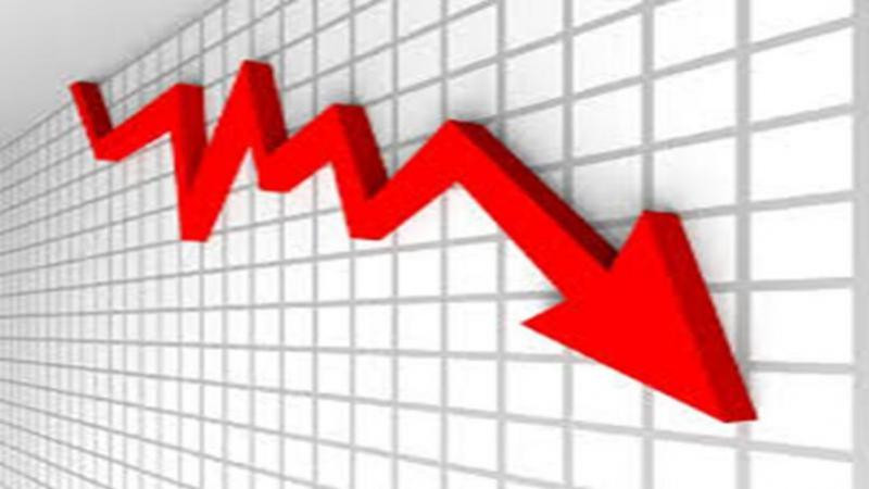 नेप्सेमा नकारात्मक सर्किट