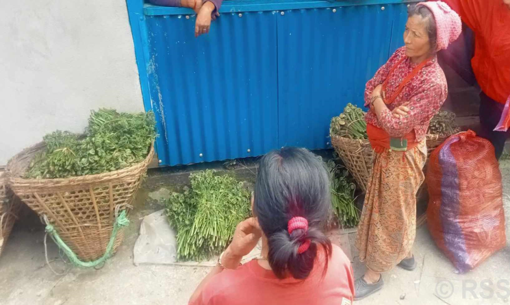 निगुरो बिक्रीबाटै चल्छ घरखर्च