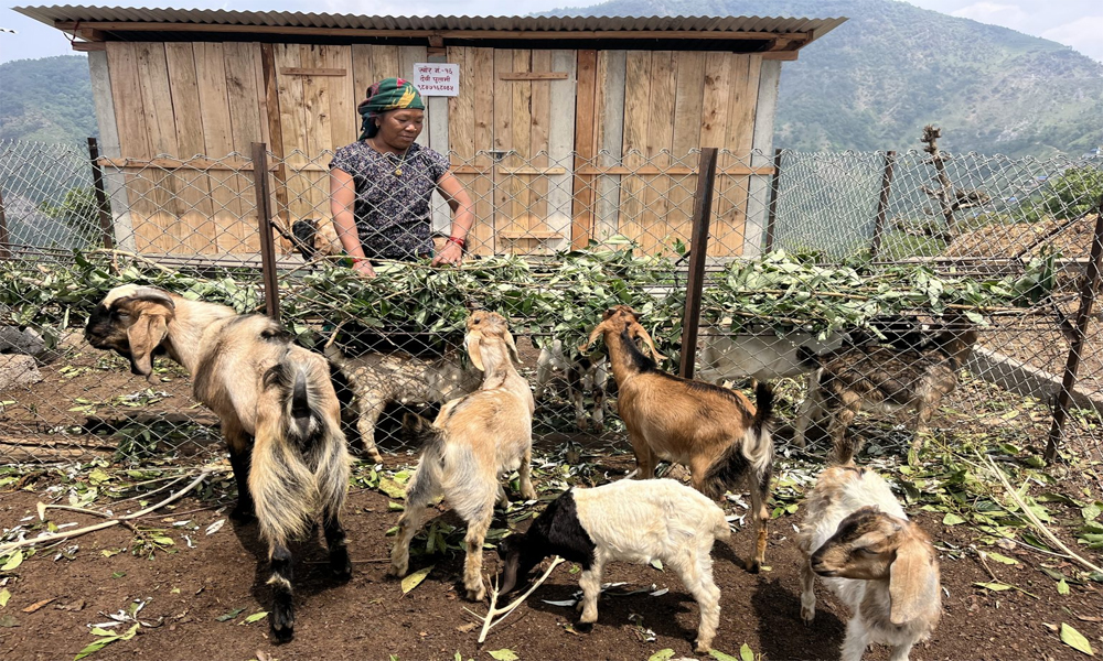 सीमान्तकृत नागरिकका लागि आयआर्जन कार्यक्रम