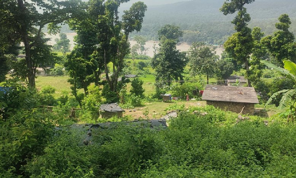 सुगम जिल्लाको दुर्गम बस्ती ‘खल्ला मसेट्टी’