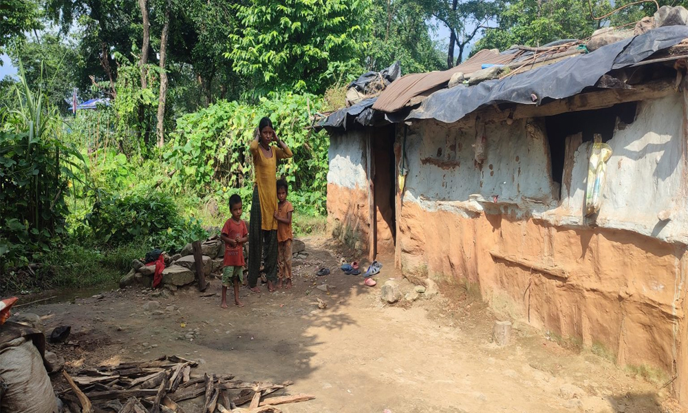 फेरियो लोपोन्मुख राउटेको जीवनशैली