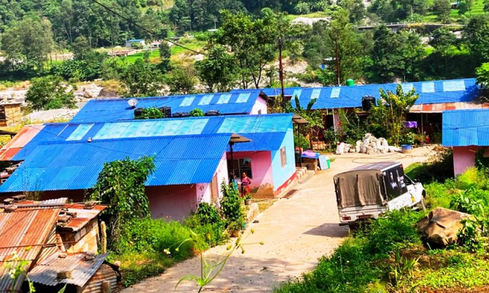 दसैँमा जमरा राखे अशुभ हुन्छ ठान्ने सीमान्तकृत समुदाय