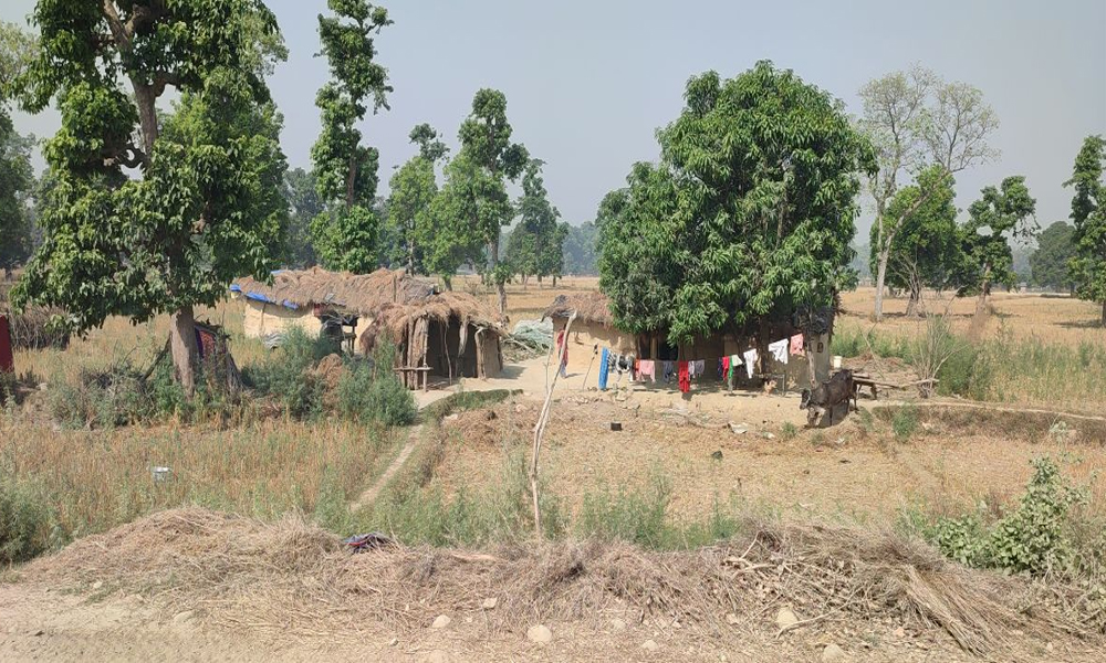 सडक बिग्रेका कारण खुलेन शुक्लाफाँटा निकुञ्ज सफारी