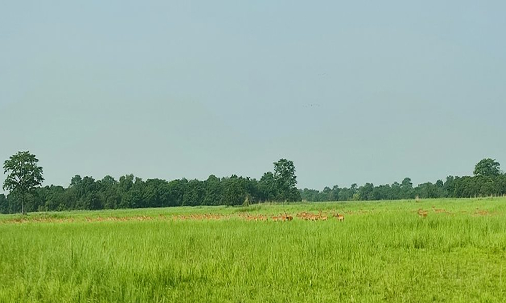 प्रचारप्रसार नहुँदा ओझेलमा शुक्लाफाँटा