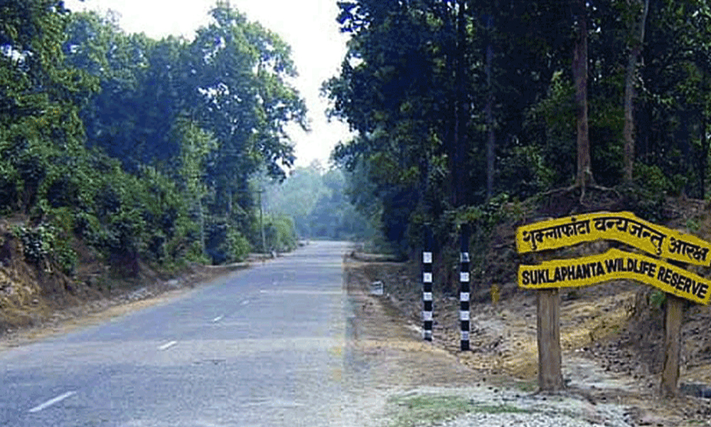 वन्यजन्तु नियन्त्रण गर्न स्वचालित बत्ती जडान