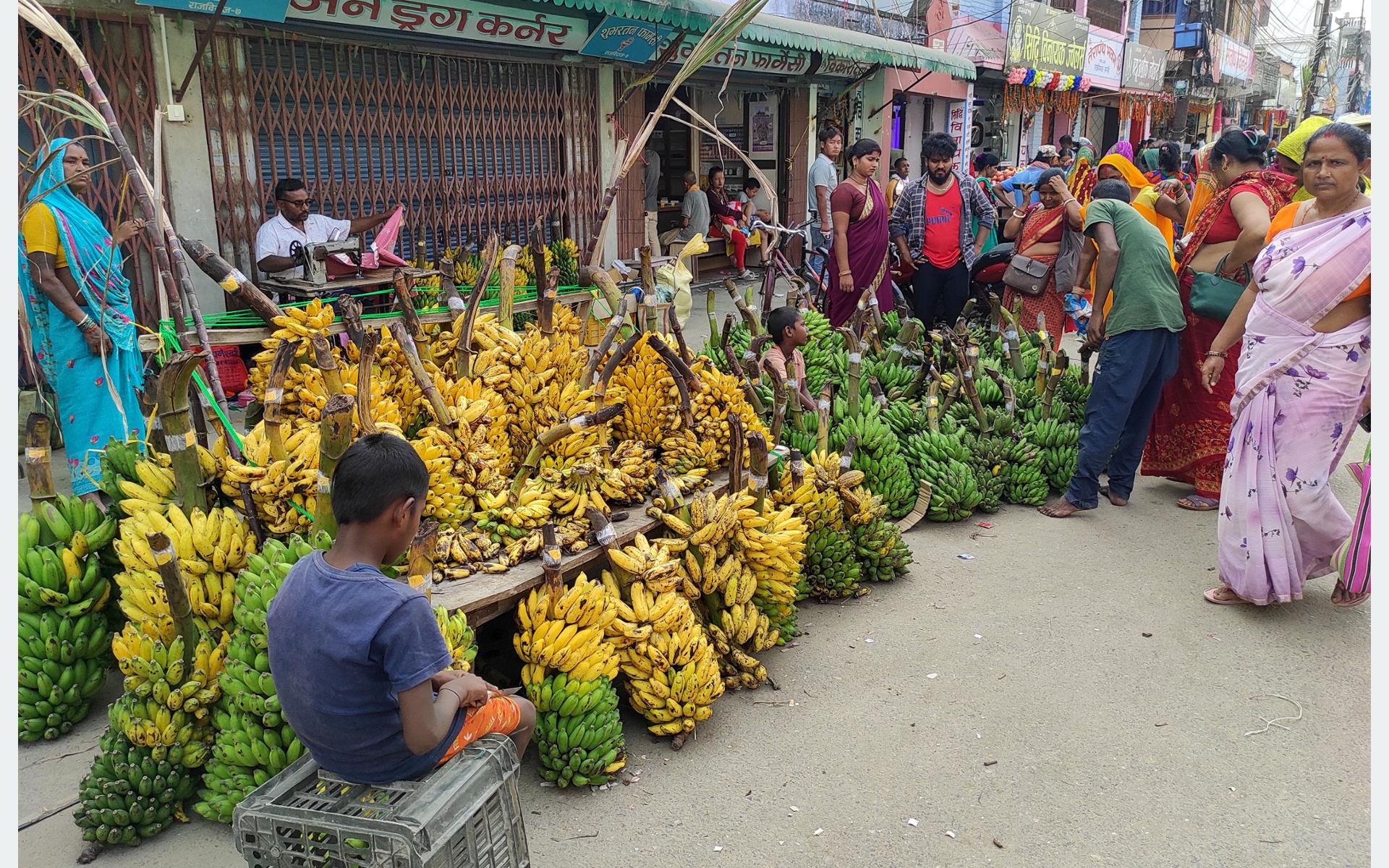 छठ पर्व: केराको माग बढे सँगै मूल्य उच्च