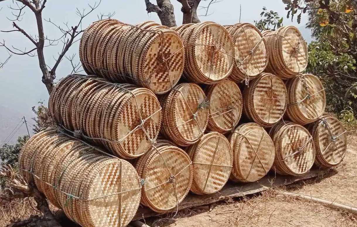 नाङ्लो बिक्रीबाट मनग्य आम्दानी ,यसैबाट जीबन निर्वाह