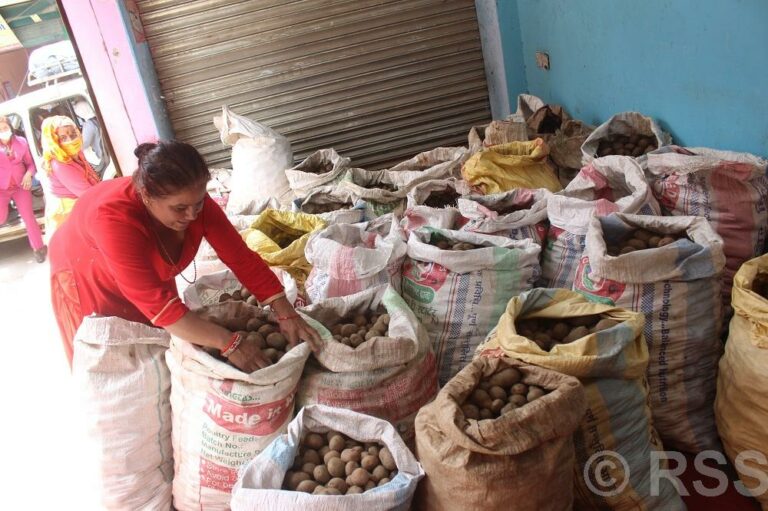 म्याग्दीमा करिब एक अर्बको आलु र सुन्तला बिक्री