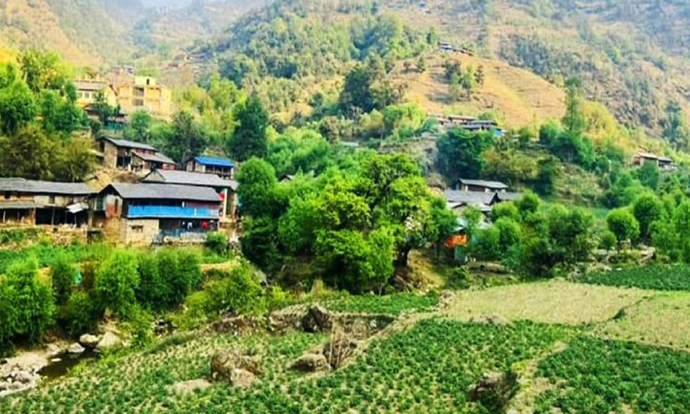 बागलुङमा एक अर्ब ९४ करोड ६० लाखको आलु उत्पादन