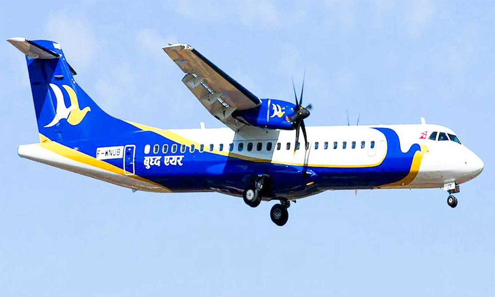 बुद्ध एयरको जहाजमा चरा ठोक्कियो