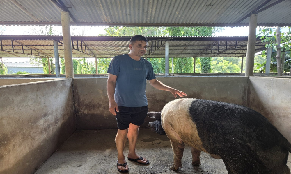 सुँगुर फार्ममा बाढी पस्दा ८० लाख बराबरको क्षति