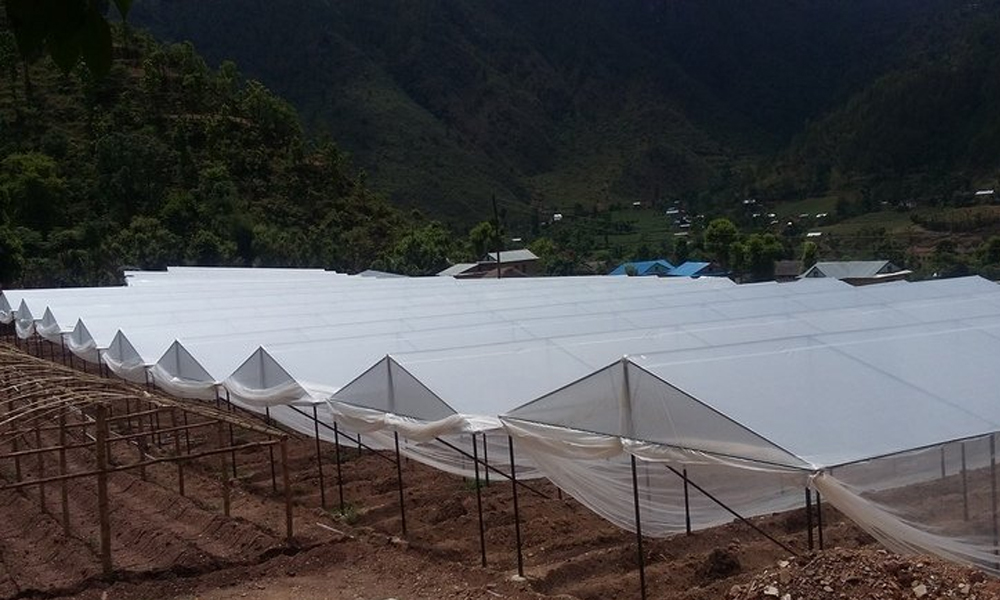 उब्जाउ जमिन नासिँदै, कृषि उत्पादन घट्दै