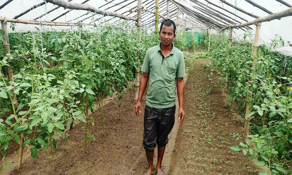 जयप्रकाशको प्रेरणादायी यात्राः मजदुरदेखि सफल व्यावसायिक किसानसम्म