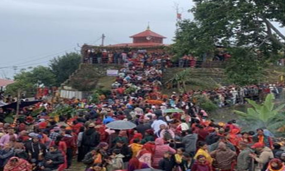 तनहुँको थानीमाई मन्दिरमा एकैदिन ८६ फूलका डोली भित्रिए