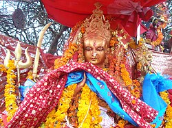 शनिबार ६ हजार ३९३ जना भक्तजनले पाथीभरा दर्शन गरे