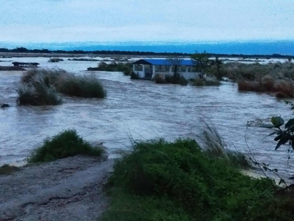 झापामा बाढीका कारण पाँच करोडको धान नष्ट