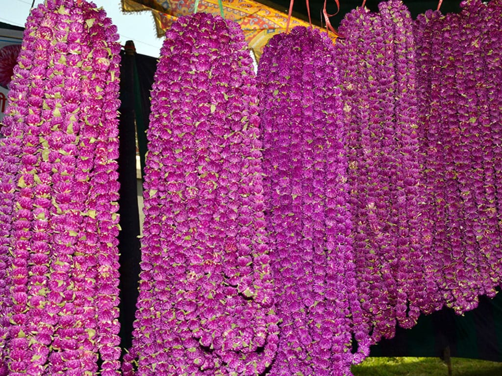 काठमाडौं पछि हेटौँडा  उपमहानगरपालिकाद्वारा प्लाष्टिकको फूल बिक्रीवितरणमा रोक