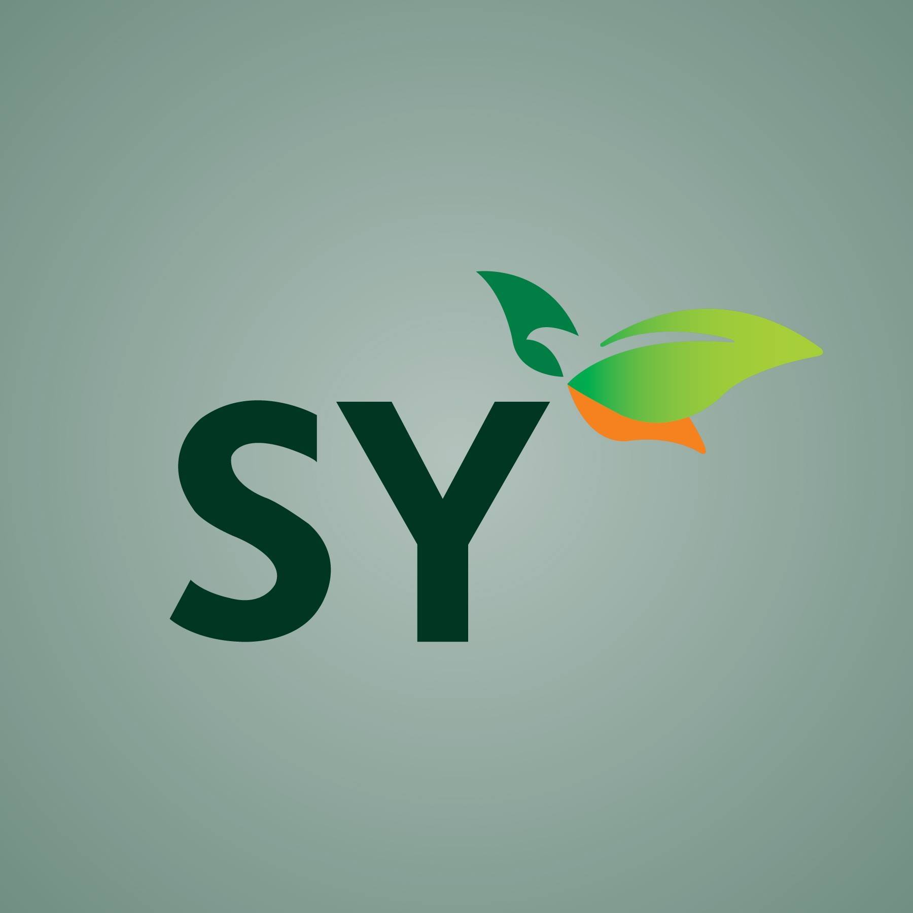 एसवाई प्यानलको आइपीओमा आवेदन दिनुअघि कस्तो छ कम्पनी ? हेरौं