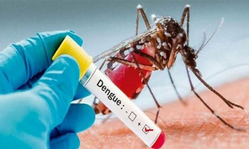 बागलुङमा ५३२ जना डेङ्गी सङ्क्रमित फेला