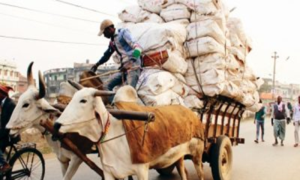 लोप हुँदै गोरुगाढा