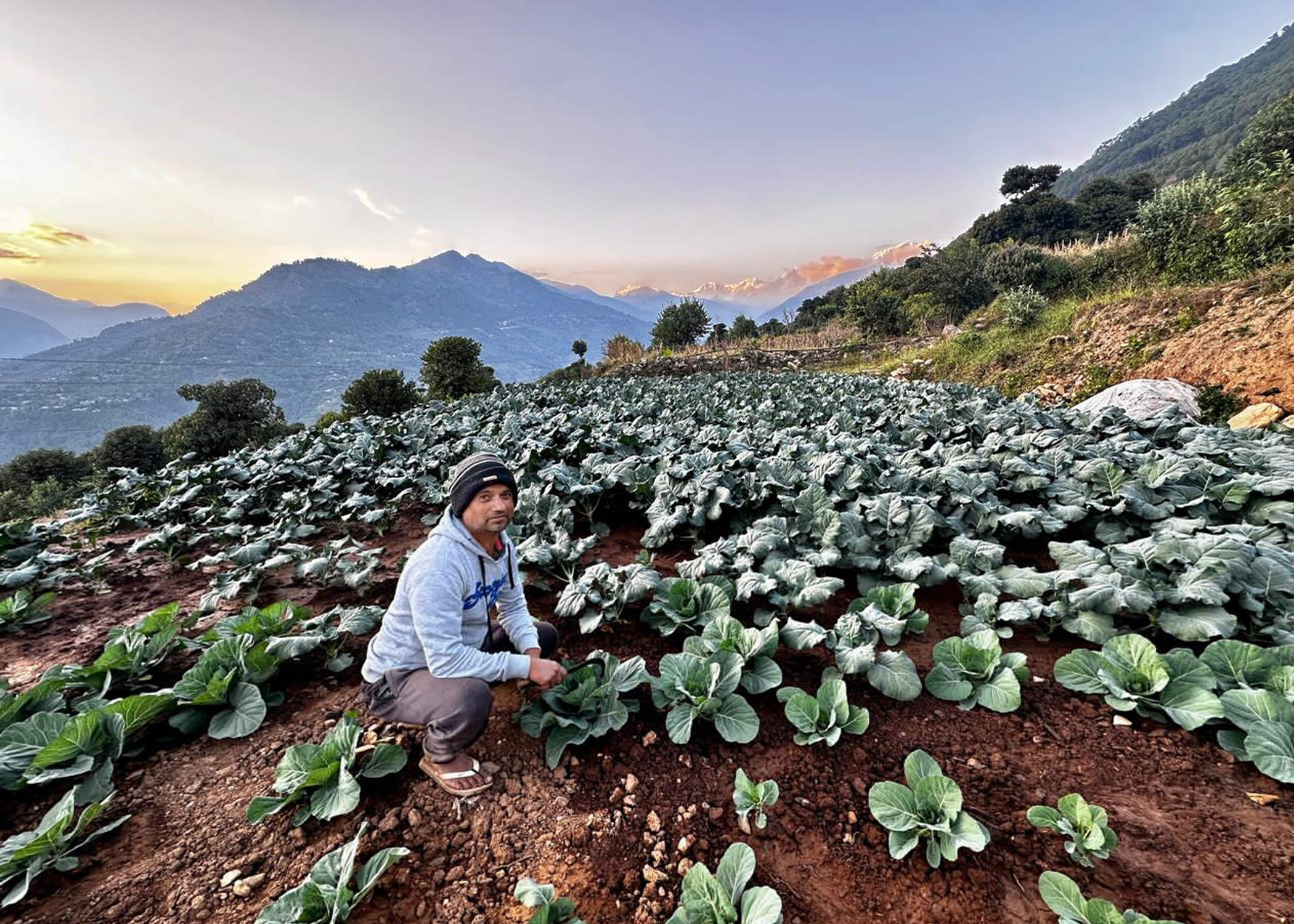 ३ दशकपछि गाउँ फर्किएर तरकारी खेतीमा रमाउँदै कमलप्रसाद