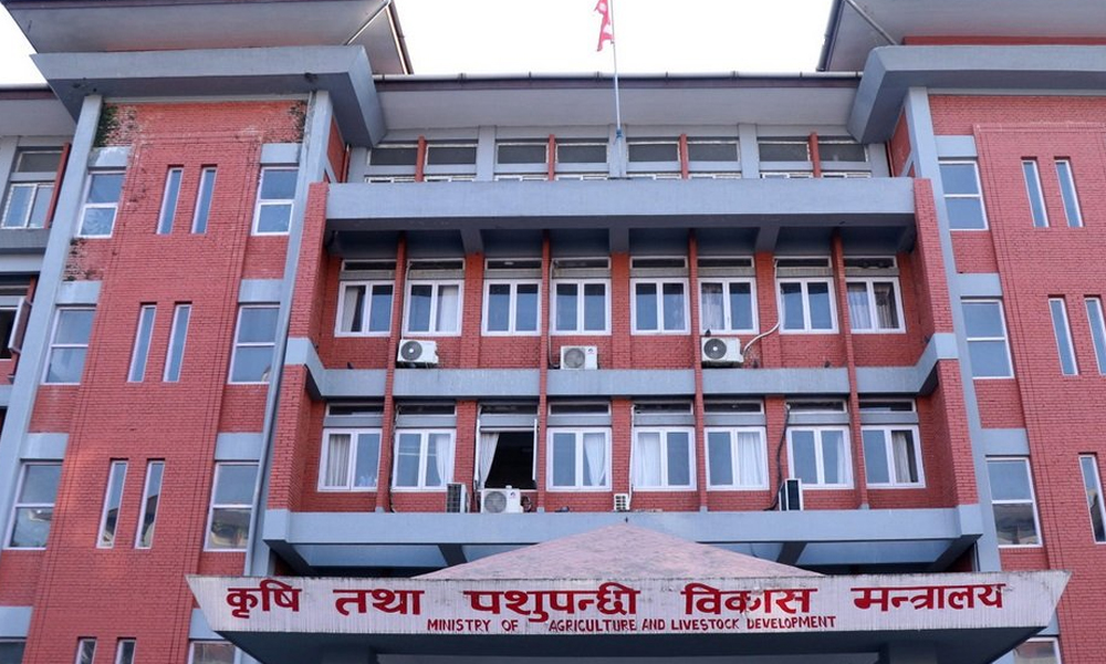 वर्षाले देशभर कृषि र पशुपन्छी क्षेत्रमा तीन अर्ब ५५ करोडको क्षति