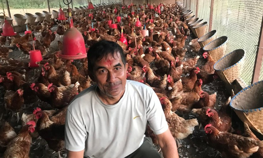 कुखुरापालनबाट मासिक एक लाख आम्दानी