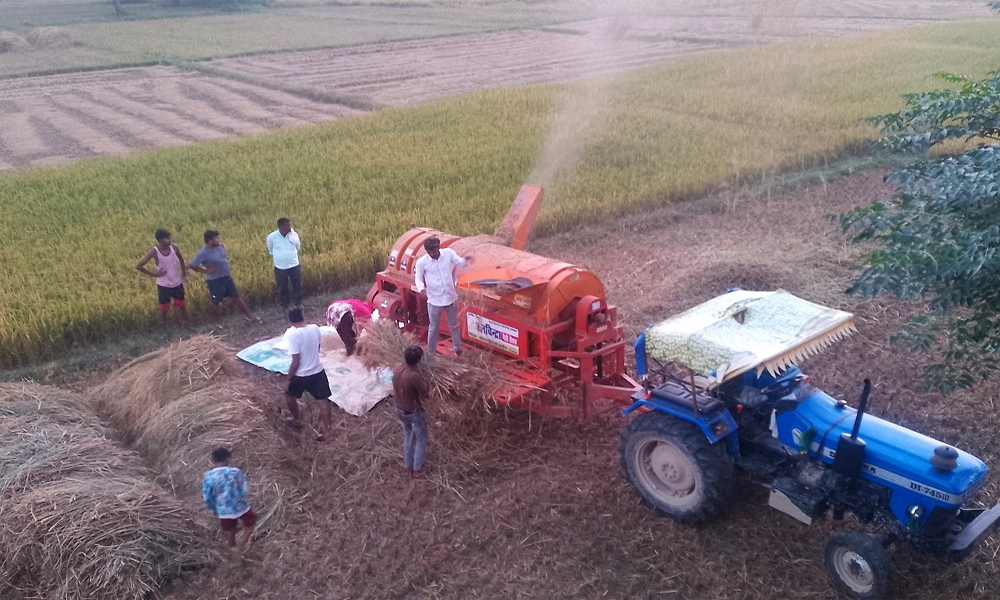 चितवनमा धान उत्पादनमा वृद्धि