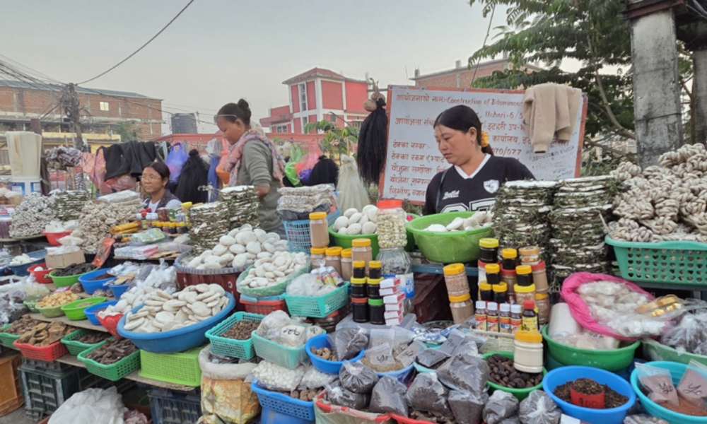 चिसो पहाडबाट झरेर तराईमा जडीबुटी व्यावसाय