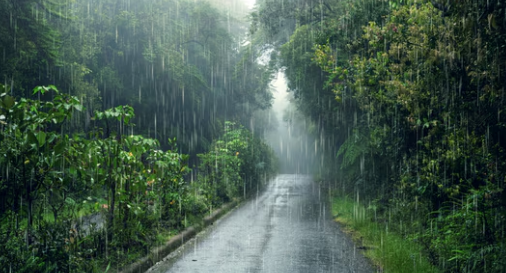 यस वर्षको मनसुनः औसतभन्दा बढी बर्षा, गत वर्षभन्दा जनधनको क्षति कम