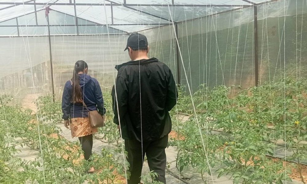 ‘हाइटेक टनेल’ बनाउन दुई करोडभन्दा बढी अनुदान