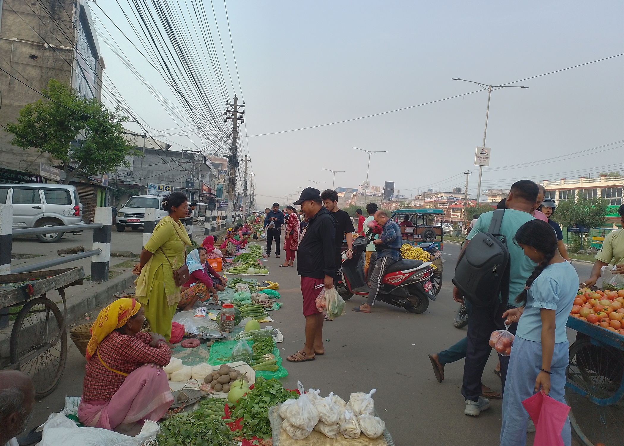थारू महिलाको पौरख : नेपालगञ्जलाई अग्र्यानिक स्वाद