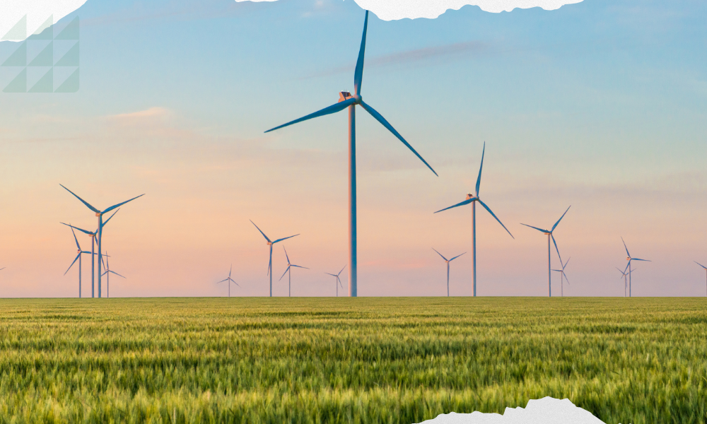 बागमती नदी करिडोरमा बत्ति जडान गरिने