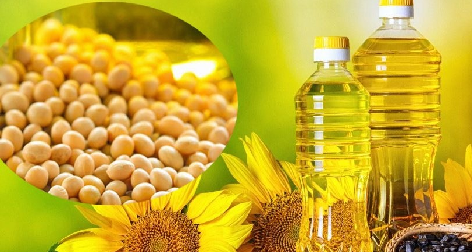 आयात निर्यातको पहिलो नम्बरमा भटमास तथा भटमासको तेल