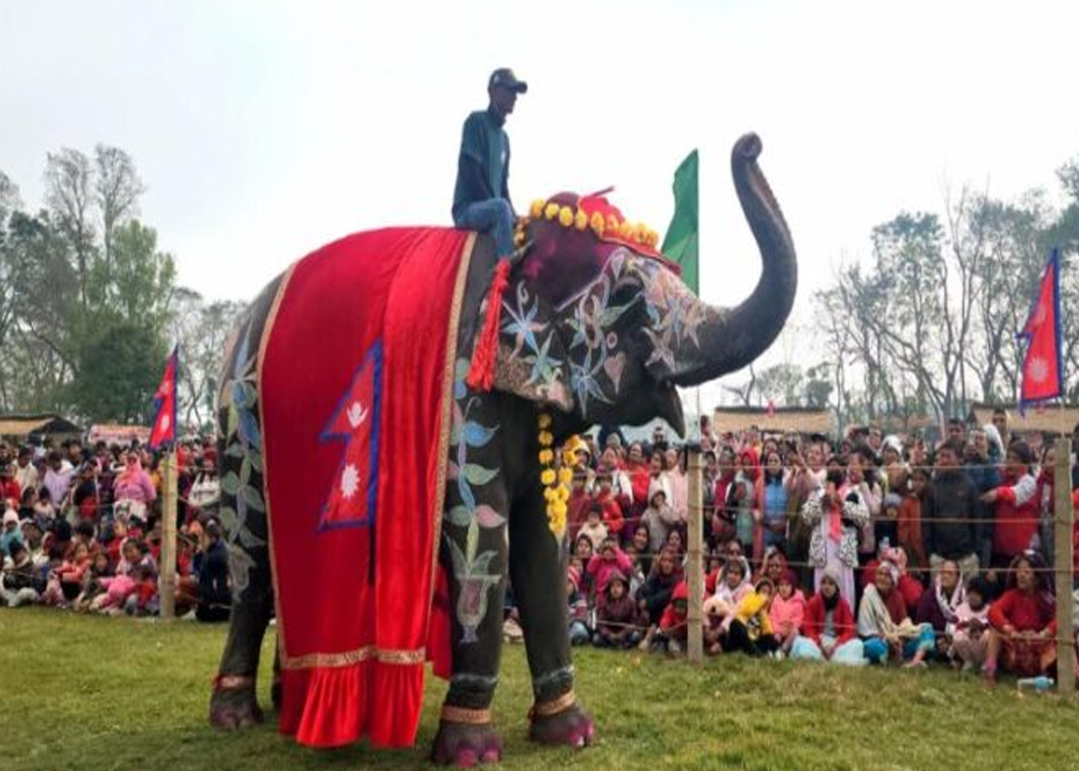 चितवनको पर्याय बन्दै ‘हात्ती तथा पर्यटन महोत्सव’