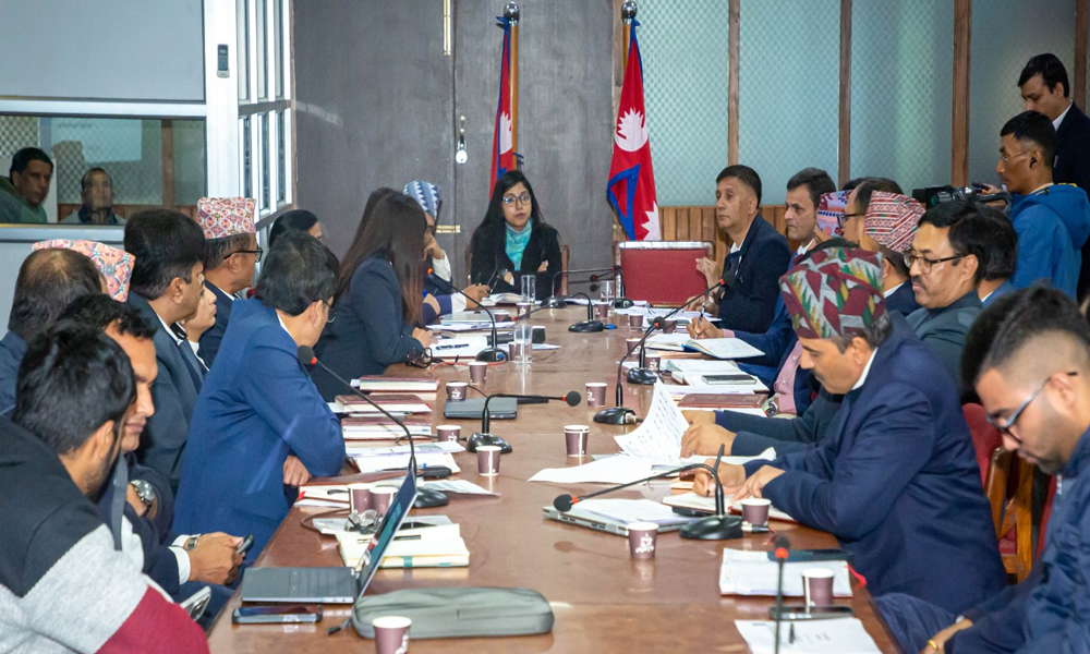 काठमाडौं महानगर हासिल गर्‍यो खर्चमा ५२.१२ प्रतिशत र आन्तरिक आयमा ७४.१५ प्रतिशत लक्ष्य