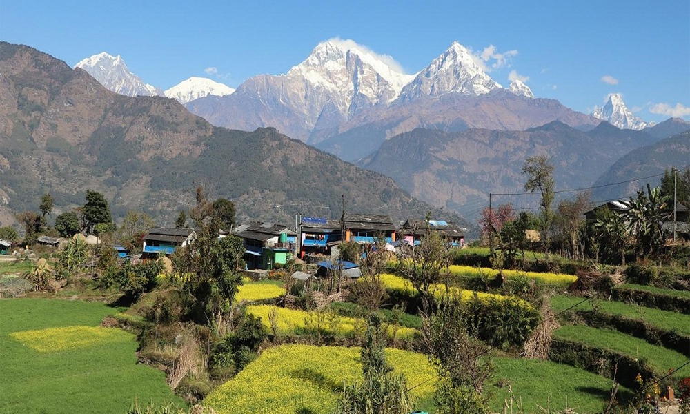 बेनीको तोरीपानीमा सयपत्री ‘होमस्टे’ सञ्चालन