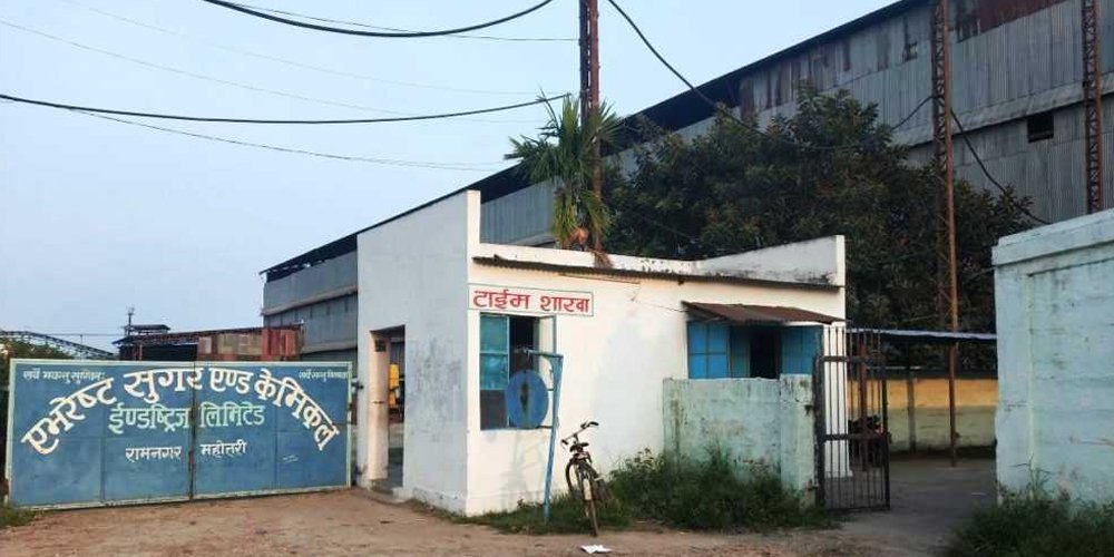 एभरेष्ट चिनी उद्योगमा उखु क्रसिङ सुरु