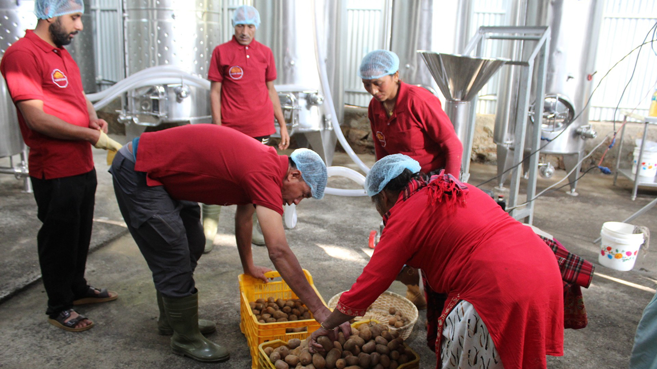 गाउँमै उद्योग स्थापना भएपछि किबी उत्पादन गर्ने किसानलाई राहत